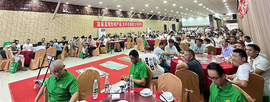 阆中市 (4).jpg