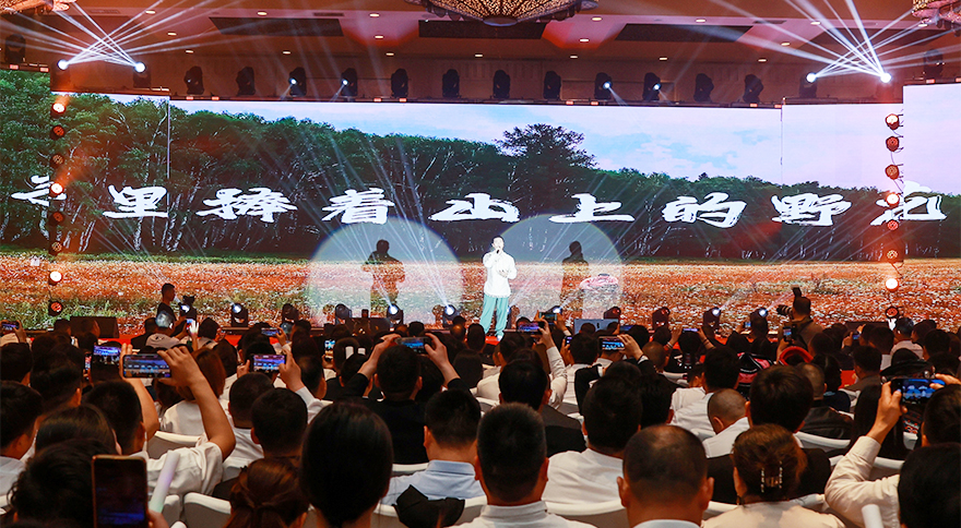 王琪_05.jpg